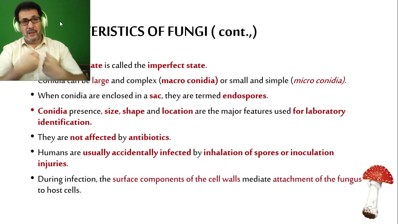 mycology 2