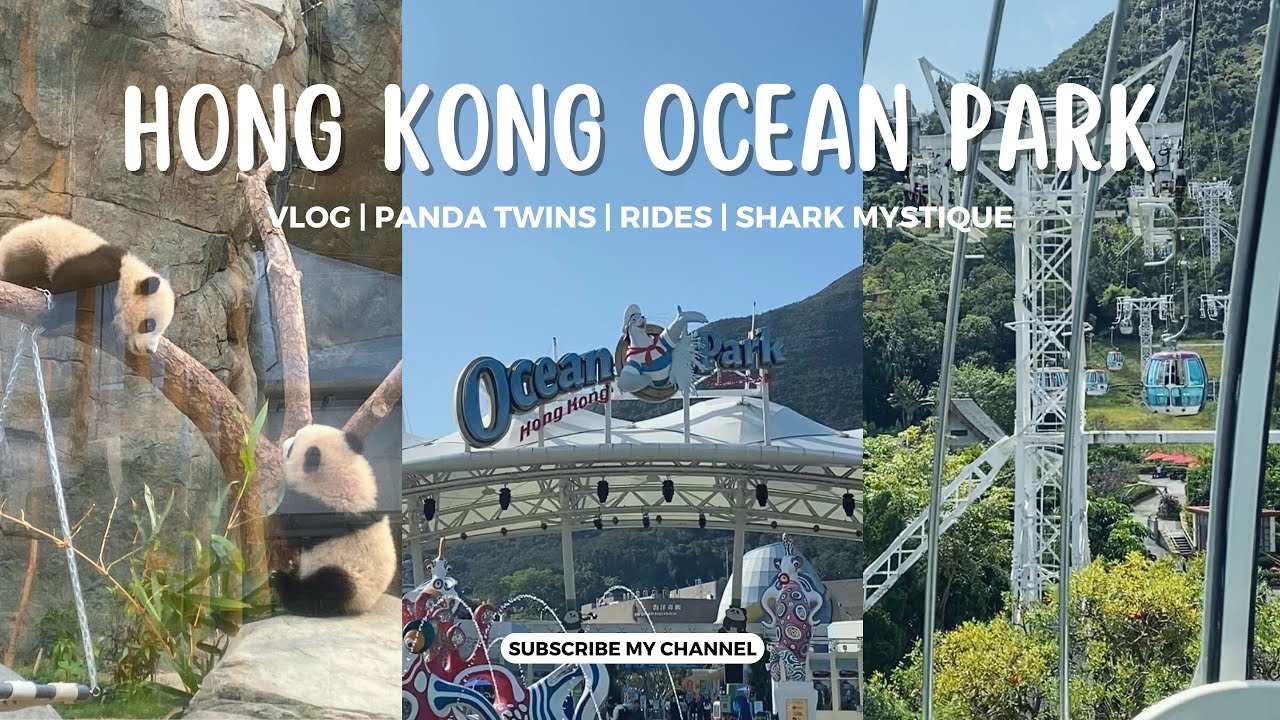Hong Kong Ocean Park Vlog | A Treasured Moment with the Panda Twins