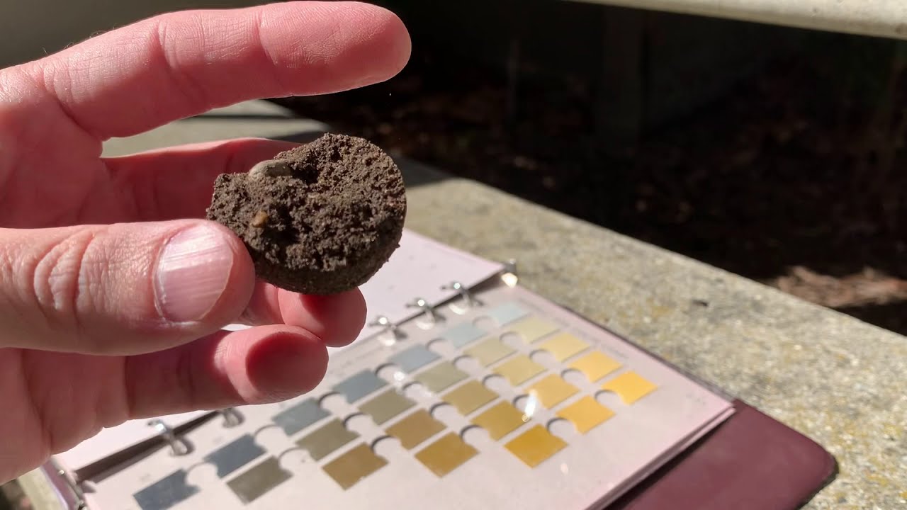 How to Use a Munsell Soil Chart