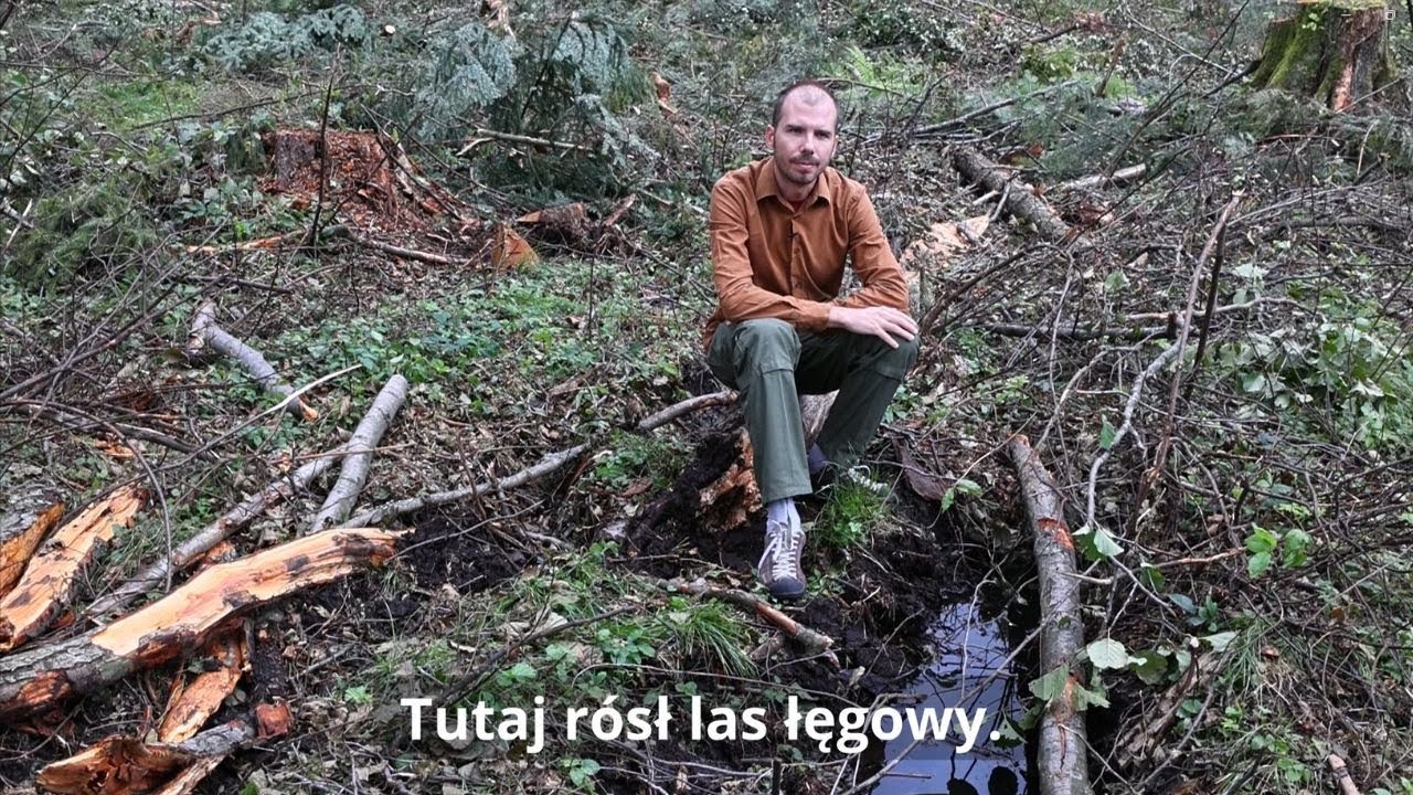 Jak ma wyglądać Twój las? Odc. 2 Lasy łęgowe