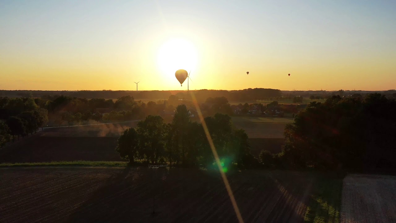 Heißluftballon landet bei Möhler