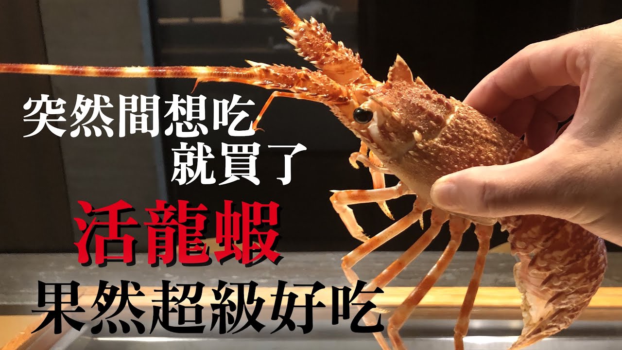 【龍蝦生魚片】活得所以非常好吃　一點都沒有浪費日式龍蝦用法　介紹生魚片跟味噌湯做法