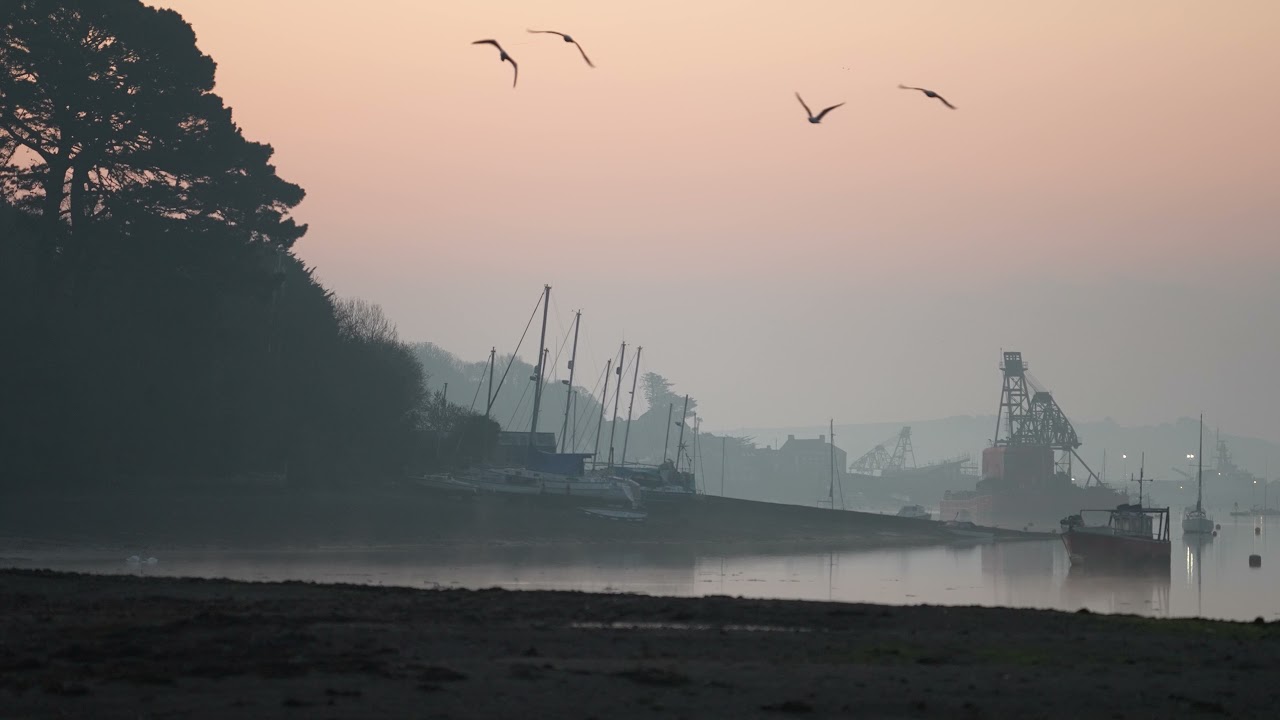 Life Along the Fal - A Cornish Wildlife Documentary