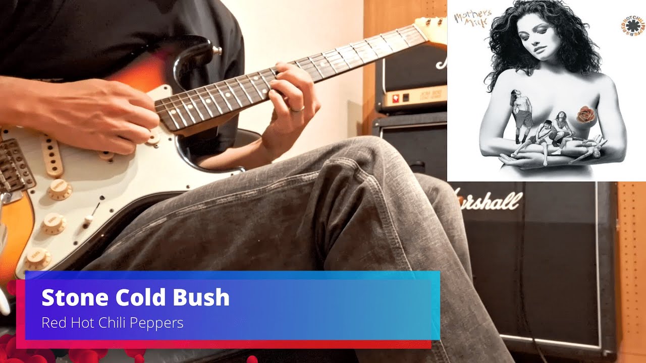Stone Cold Bush Red Hot Chili Peppers Guitar Cover