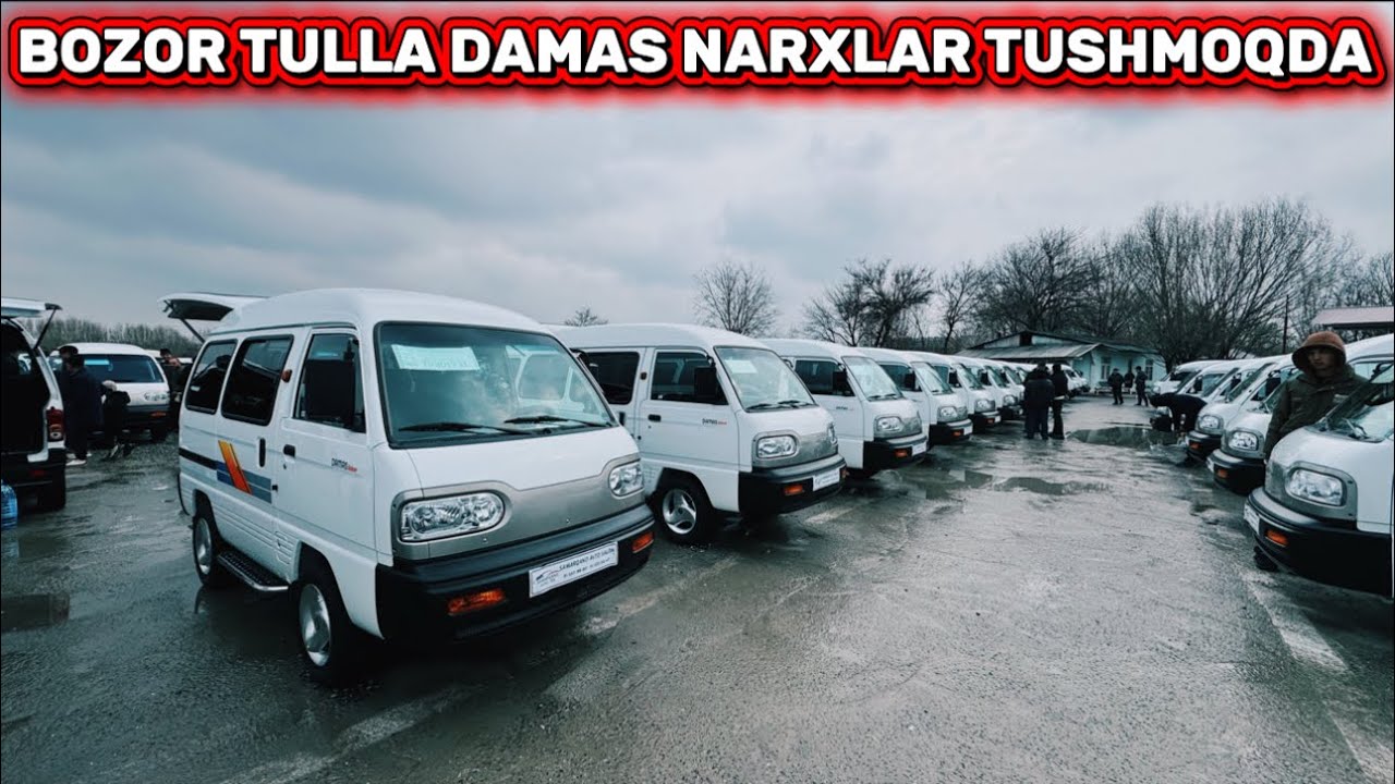 15-MART DAMAS LABO NARXLARI SAMARQAND MOSHINA BOZORI 2026