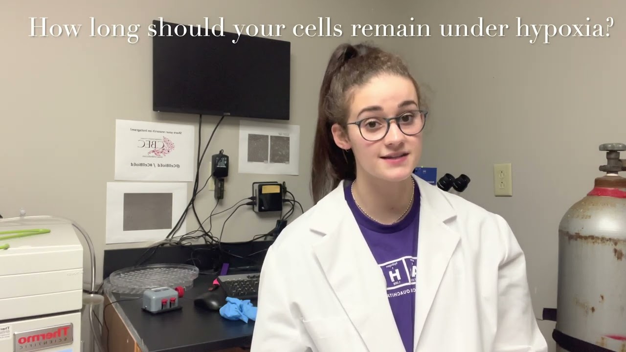 Easy Hypoxia Treatments for Cell Culture a CBEC Cell Block