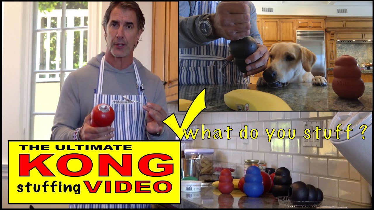 The Ultimate KONG Video - Dog Treats - Best Kong Fillers and Stuffing