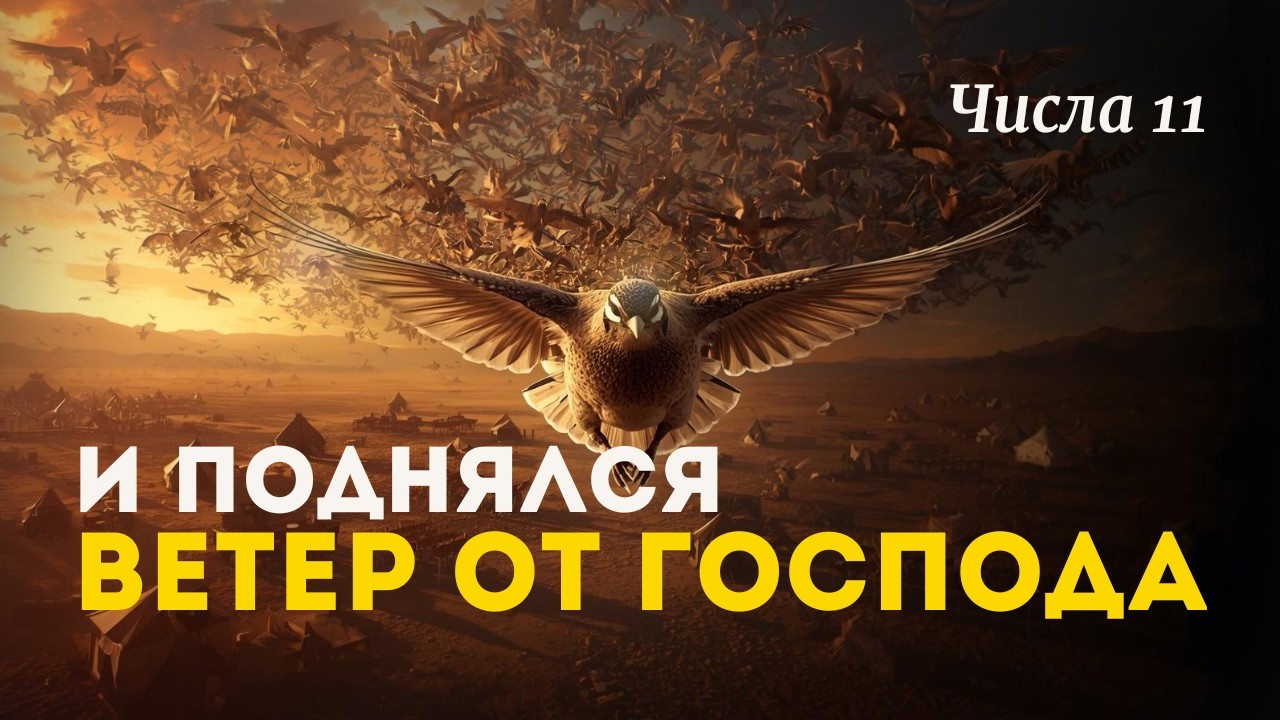 Кто накормит нас мясом? Числа 11 | Хронологическое чтение Библии, день 61
