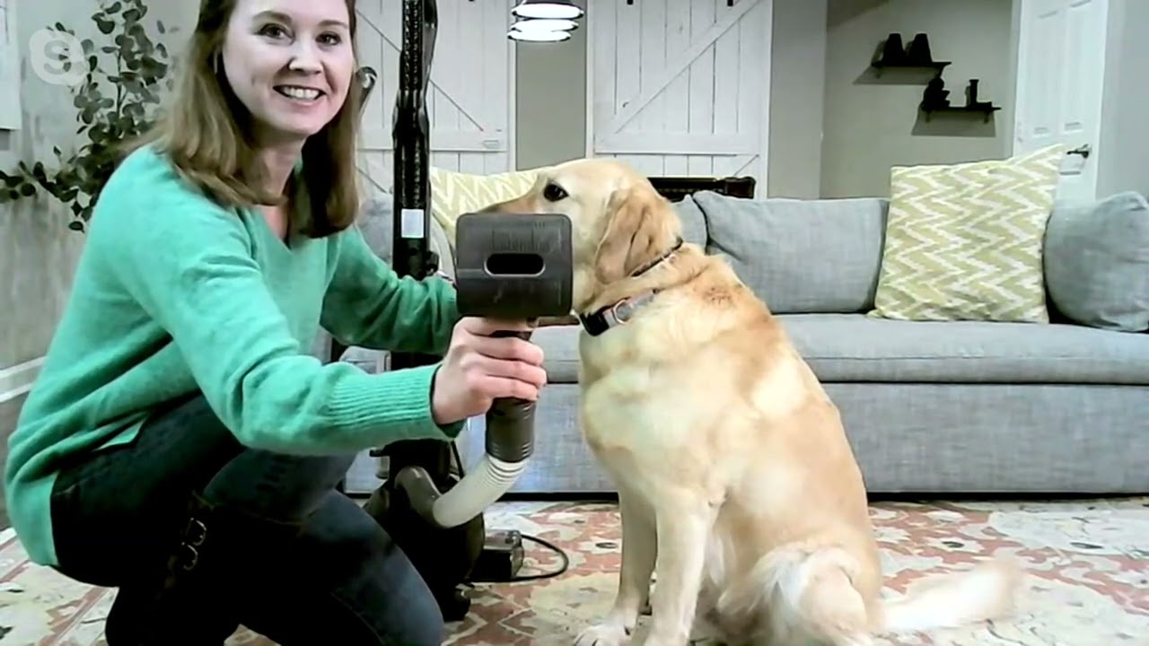 Dyson Ball Animal 3 Extra Upright Vacuum with 7 Tools on QVC