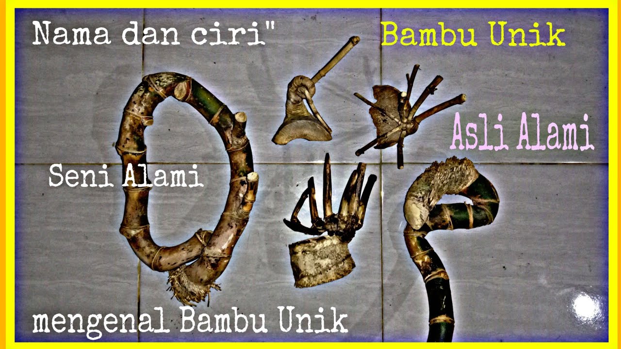 8 Bambu unik nyentrik