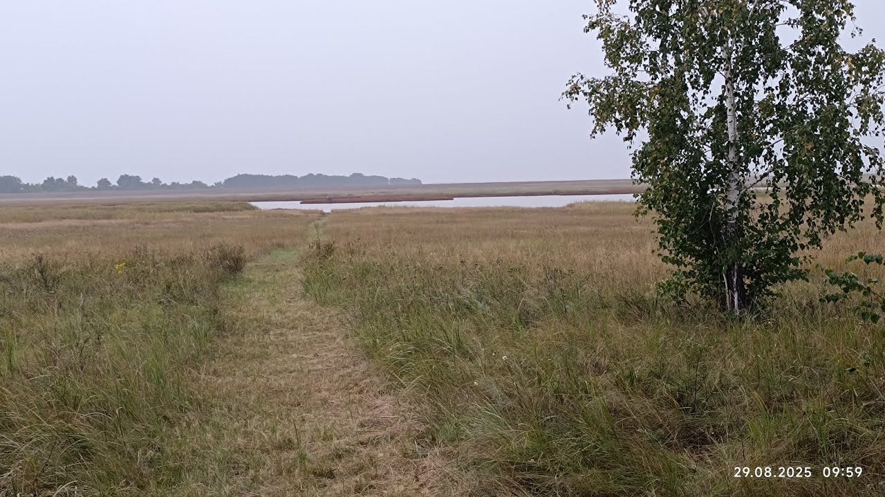 Два дня до открытия охоты! Отдых на природе в глухой местности👌😉 29.08.2025         # осенняя#охота#