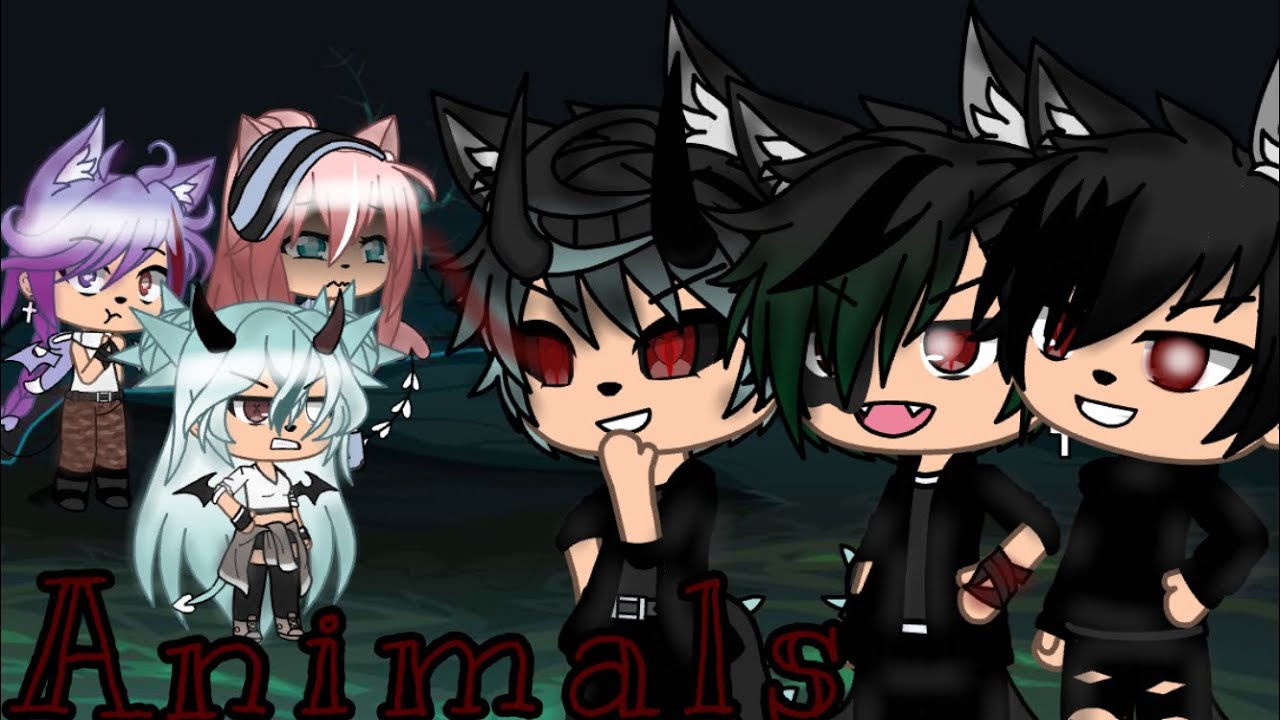 • Animals •|| GLMV ||
