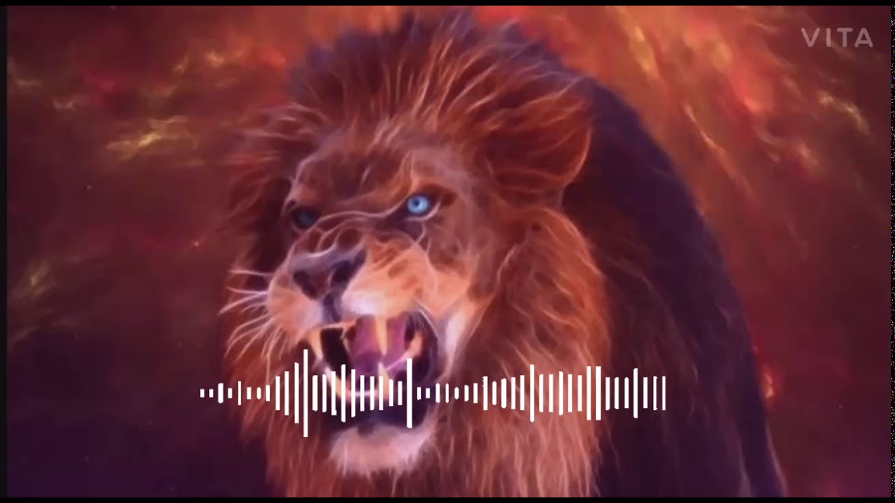 #alexandrus #Beingwithadarsh.     alex and rus lion roaring song🥰🥰🥰🥰👑👑👑