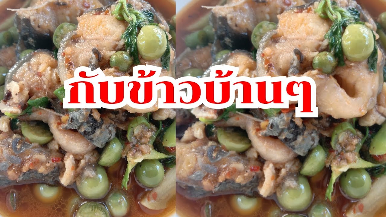 แกงป่าปลาดุกใส่มะเขือพวง #กับข้าวบ้านๆ 