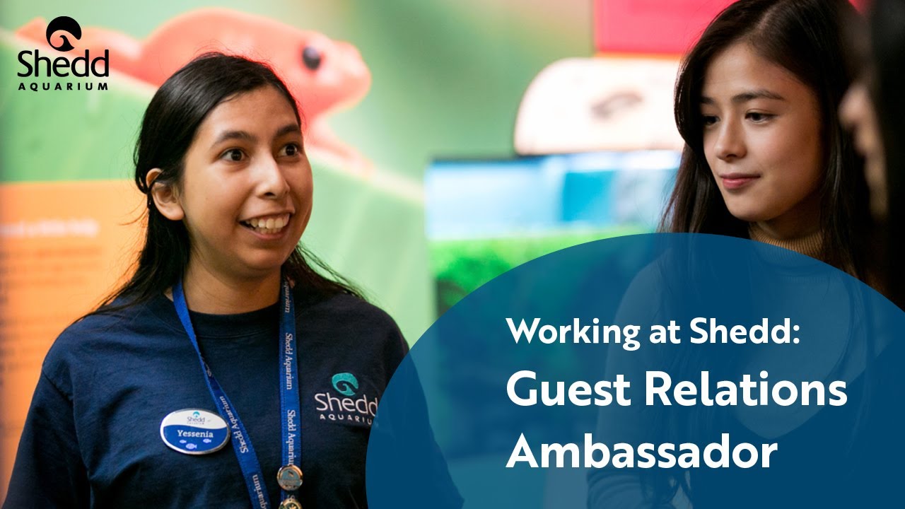 Working at Shedd: Guest Relations Ambassador