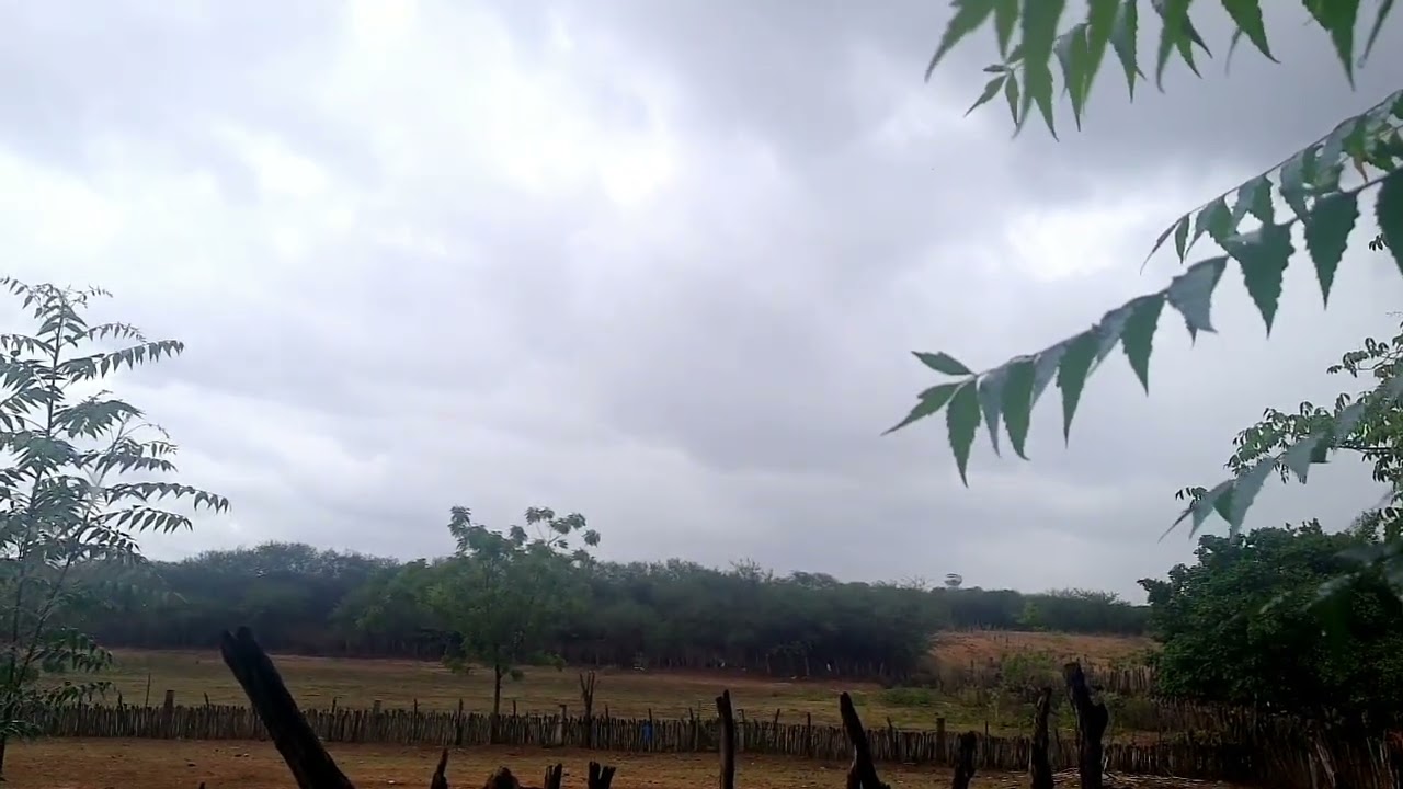 PARA OS AGRICULTORES UMA BOA ESPERIÊNCIA NESSE DIA