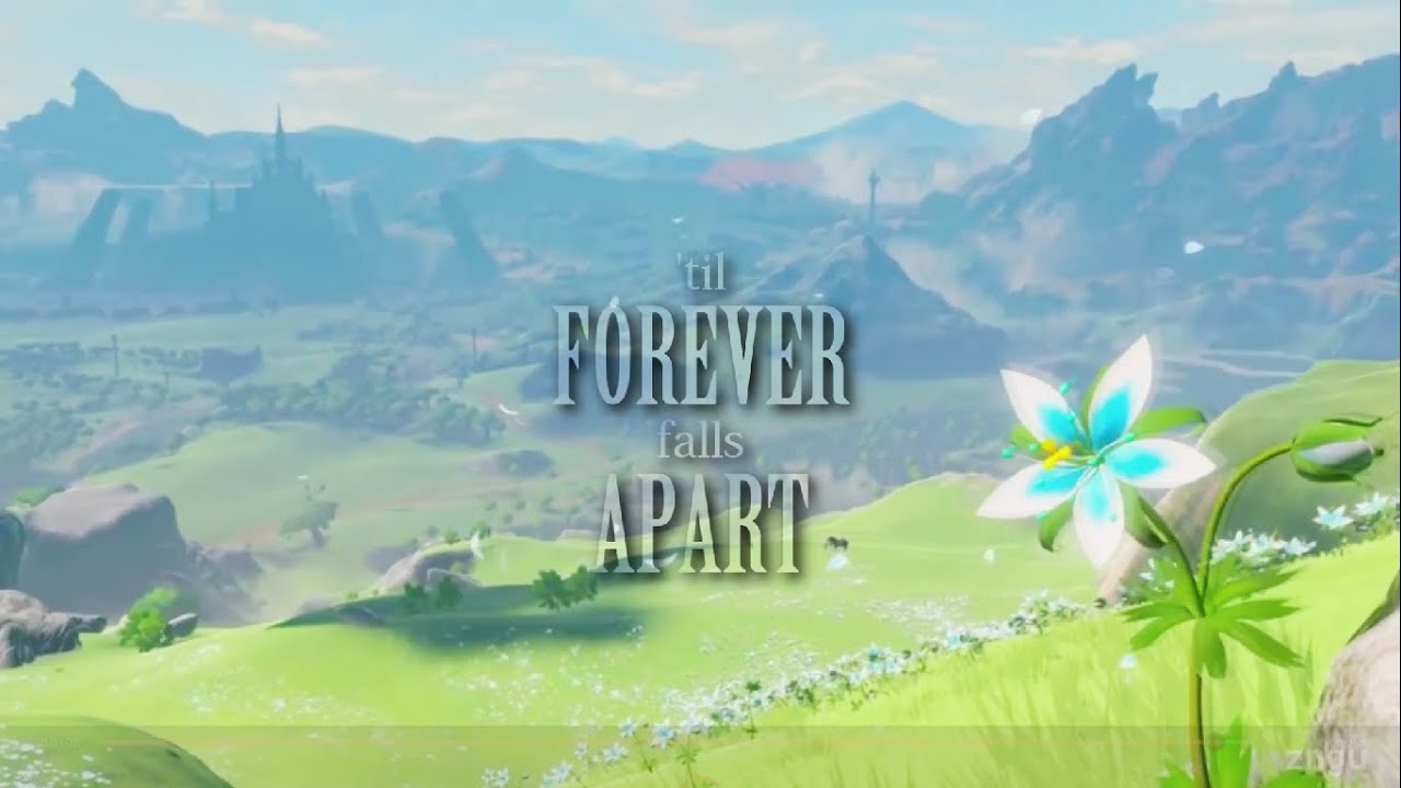 zelink || forever