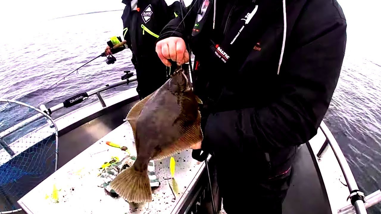 HAVSFISKE i ÖRESUND - Höstfiske & pillemete efter plattfisk