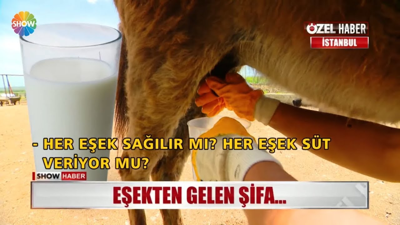 Eşekten gelen şifa...
