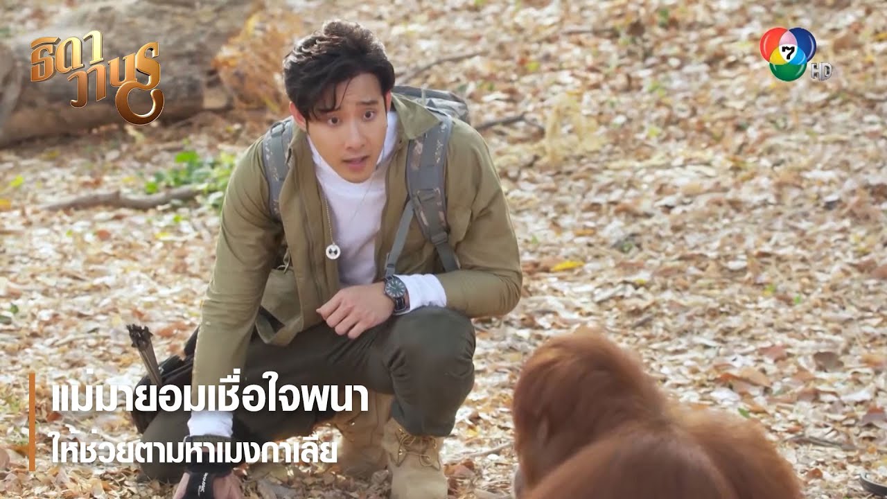 แม่มายอมเชื่อใจพนาให้ช่วยตามหาเมงกาเลีย | ตอกย้ำความสนุก ธิดาวานร EP.15 | Ch7HD