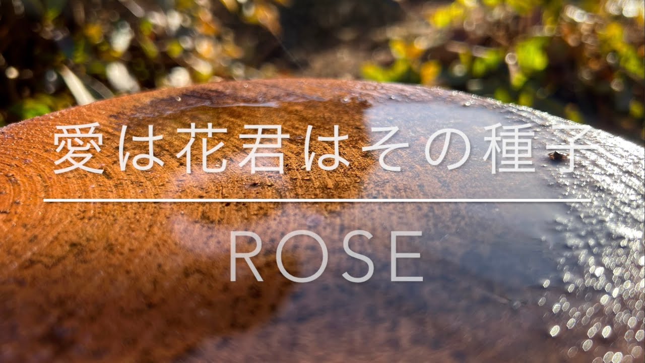 オカリナ「愛は花君はその種子」「Rose」