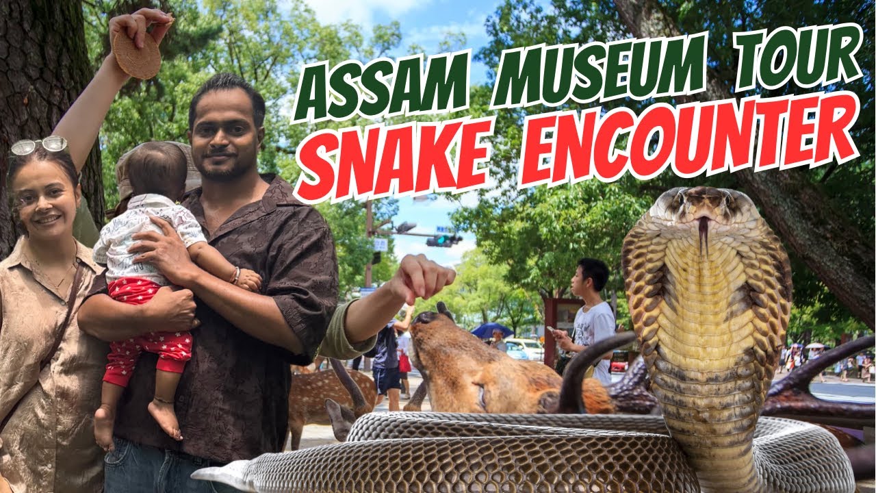 Assam Vlog ❤️ | Snake Encounter! Assam Museum Tour & Kaziranga Beauty