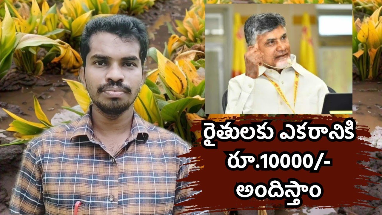 Input Subsidy 2024 AP - Ecrop (Panta Namodhu) అవ్వకపోయినా నష్ట పరిహారం ఇస్తారు