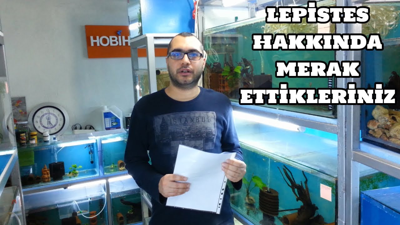 Lepistes Hakkında Merak Ettikleriniz