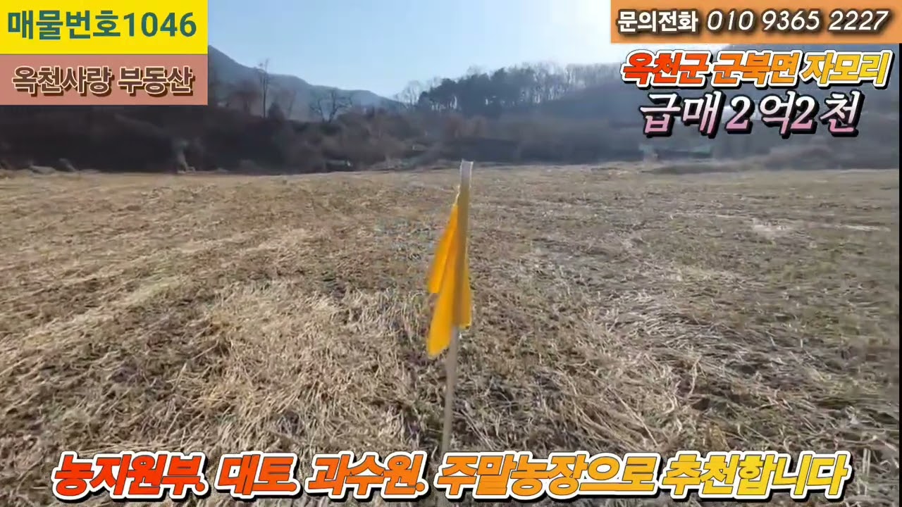 1046)  대전  인근에 넓은 전망좋은 토지