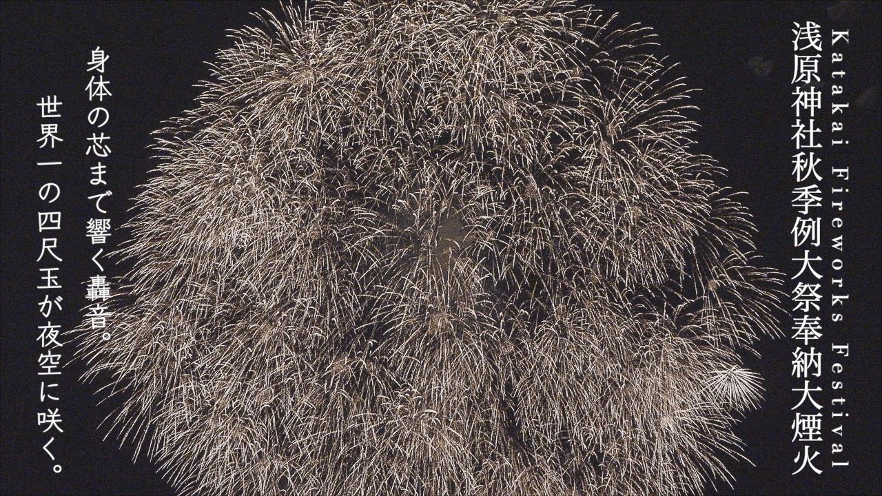 【Katakai Fireworks Festival】Trip Vlogはとバスツアー‼︎世界一の四尺玉！片貝まつり花火大会&群馬ぶどう狩り