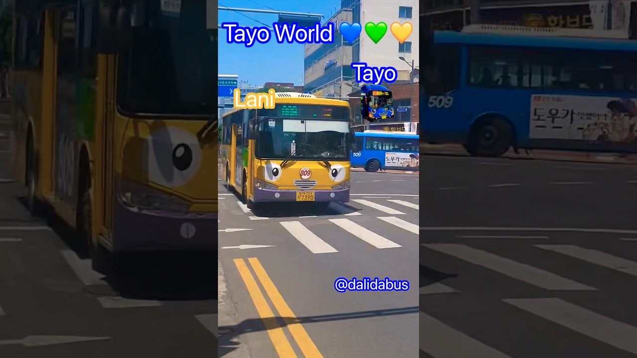Real Tayo World  💚💚💙💙💛💛  #tayo  #Lani