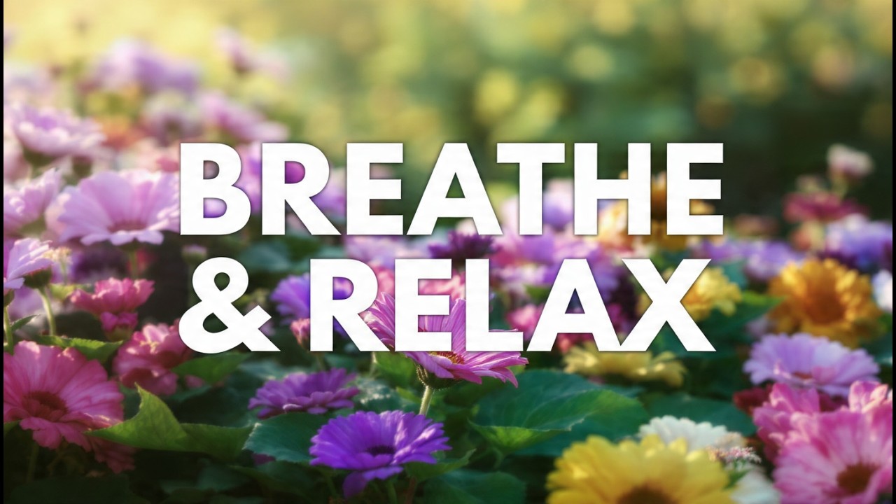 Relax Now 🌿 Soothing Piano Music with Natural Water Sounds