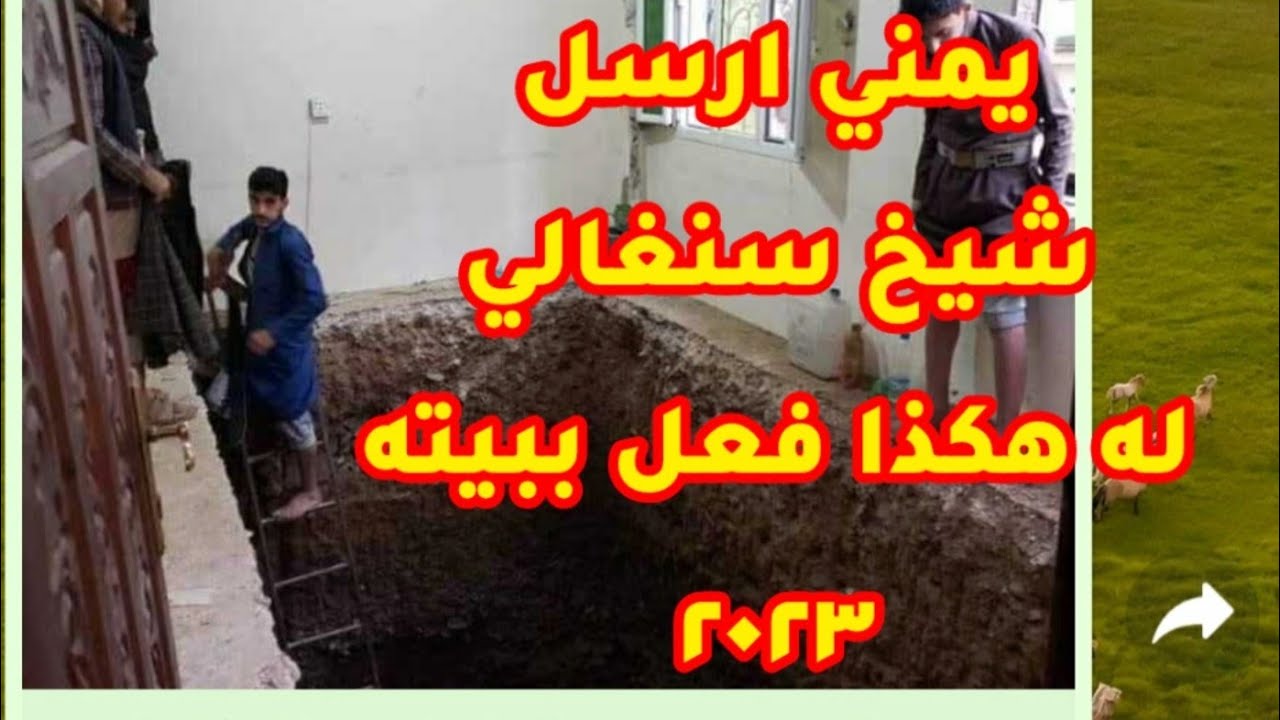 شاهد🔴|صنعاءشيخ سنغالي يخـ.دع يمني با. لحفرحت منزلةلإخراج كنزوعندما انتهى من الـ.حفر حدثت المفا جاه‼️