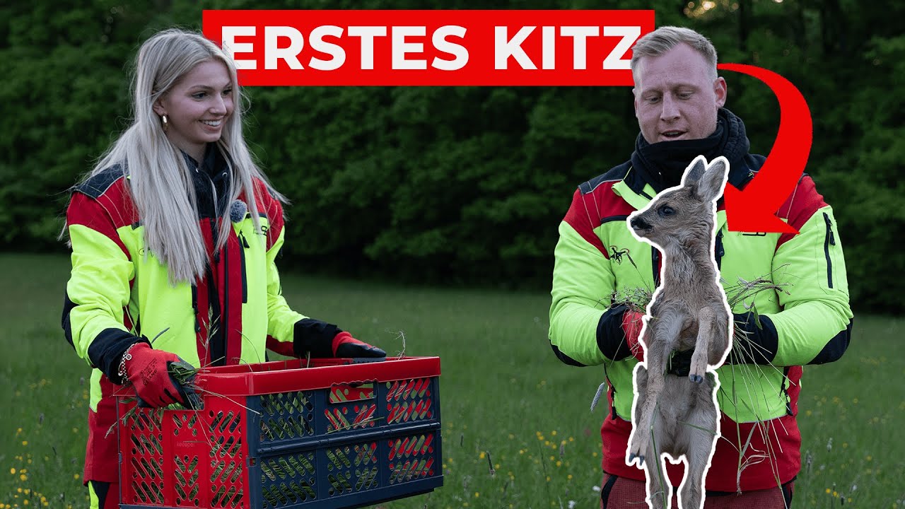 Erste Kitzrettung 2025 &ndash; Startschuss f&uuml;r die Kitzrettungssaison 2025!