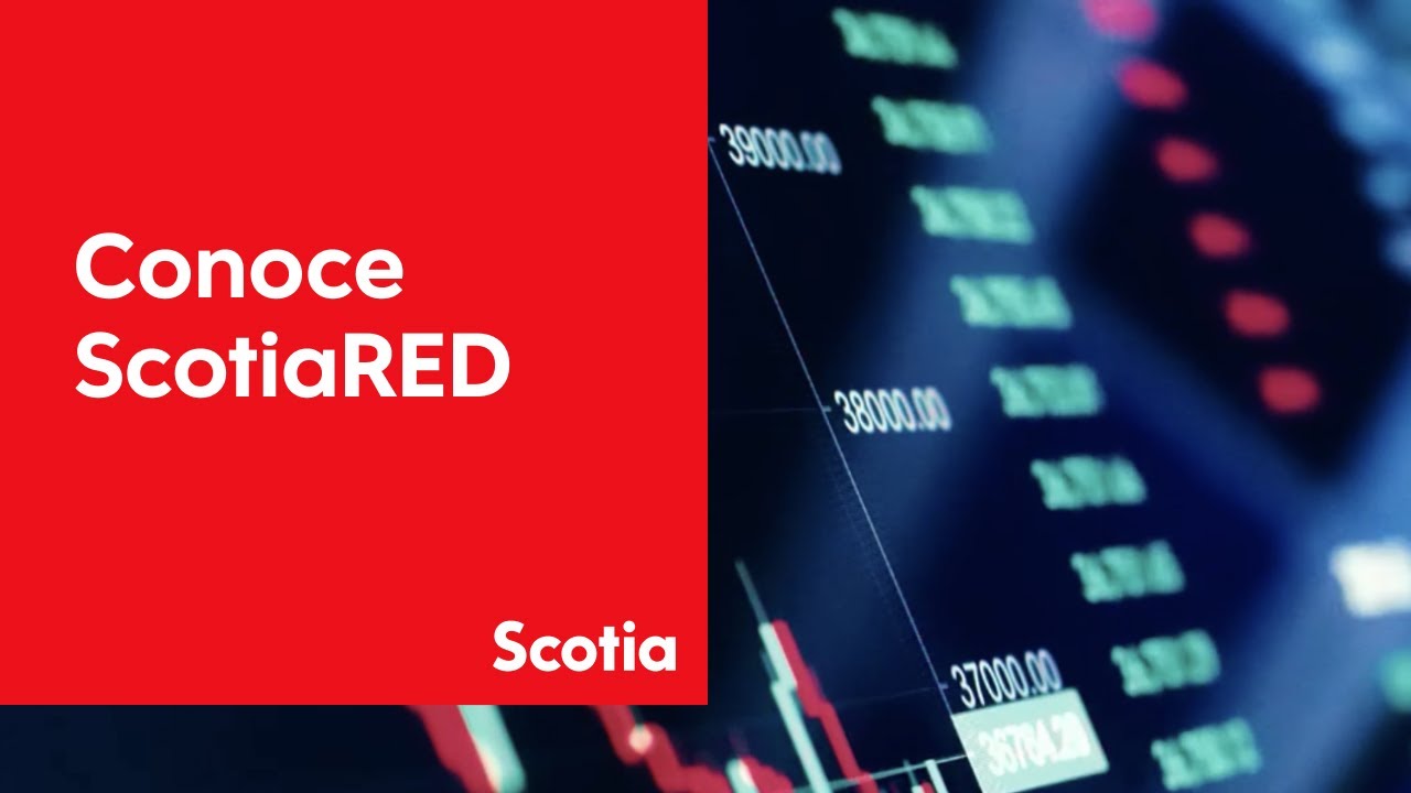 ScotiaRED, nuestra plataforma para la compra-venta de divisas en l&iacute;nea | Scotiabank M&eacute;xico