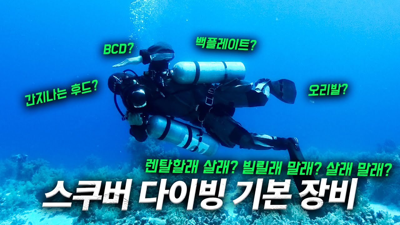 스쿠버 다이빙 장비 어떤 게 있을까? 초보 다이버 필수시청!