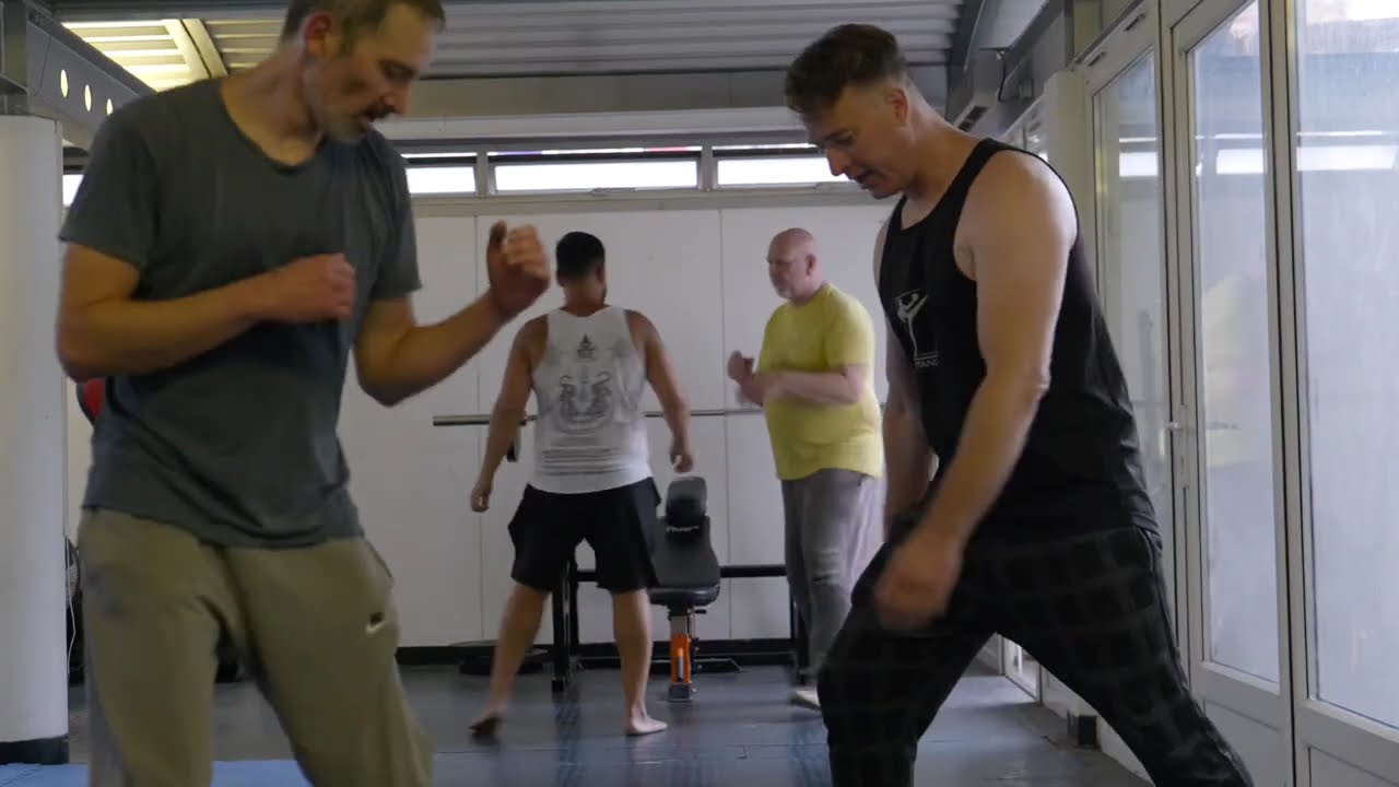 Tai Chi self defence flow exercise 