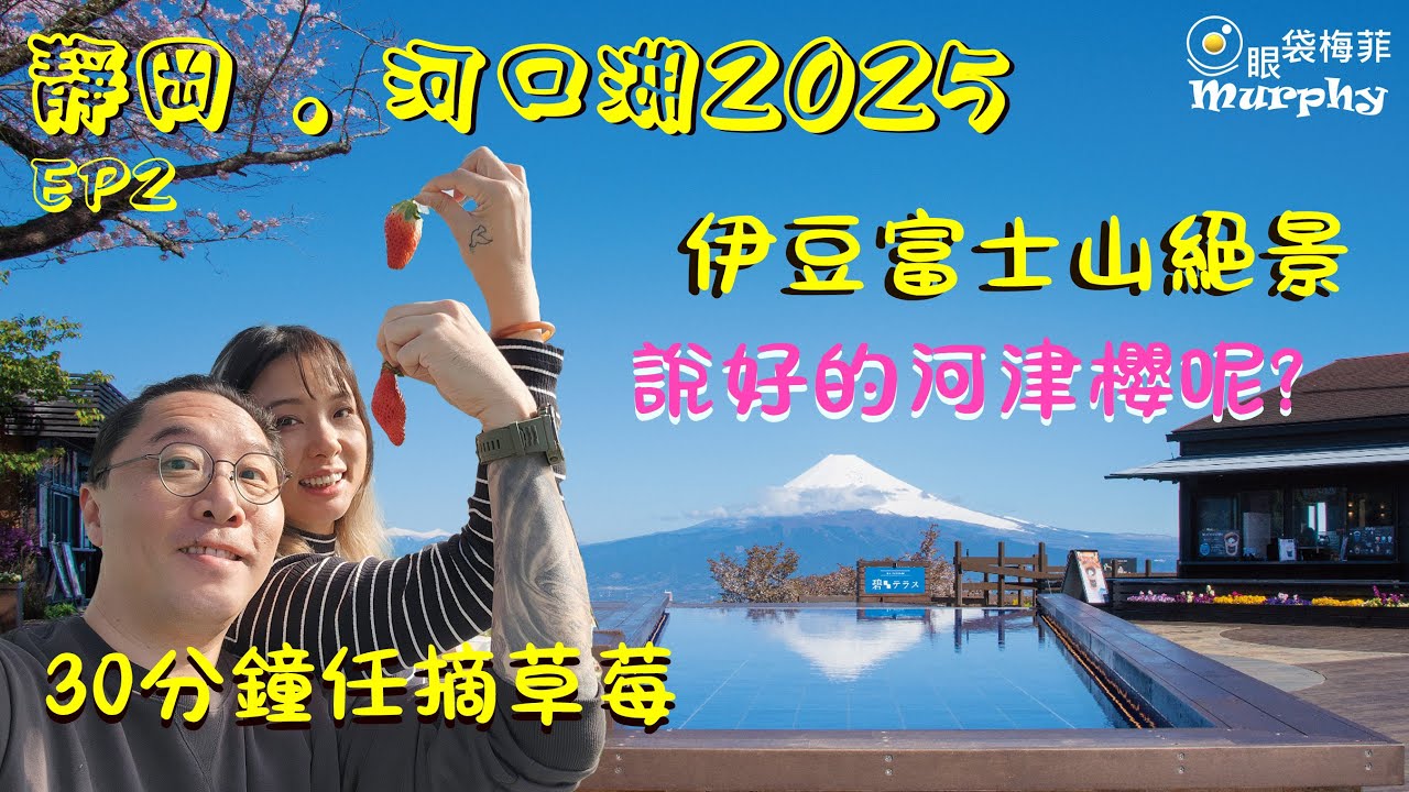 [日本VLOG] 靜岡+河口湖自駕 EP2 ~ 無敵富士山風景 I 伊豆好風景推介 I 30分鐘任摘草莓 I 美味廻轉壽司 I 河津櫻呢?   ~ @EyeBagsMurphy[眼袋梅菲]