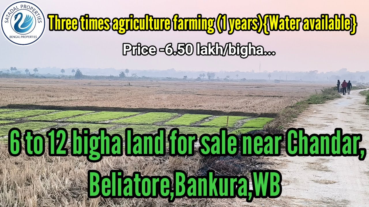 #Farmimgland 🙏🏻6 to 12 bigha land for sale near Chandar , Beliatore, Bankura, WB.M-7679452742 🙏🏻