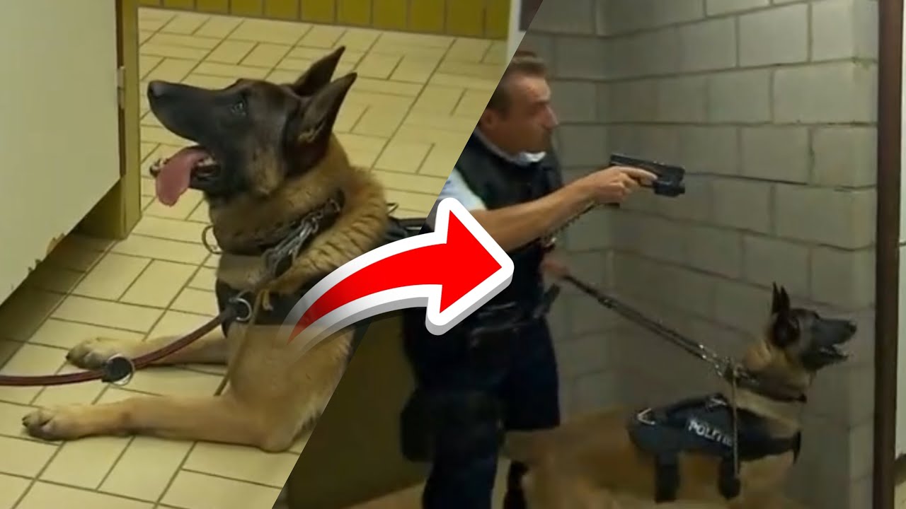 De Buurtpolitie | Koen & Barry in gevaar?!