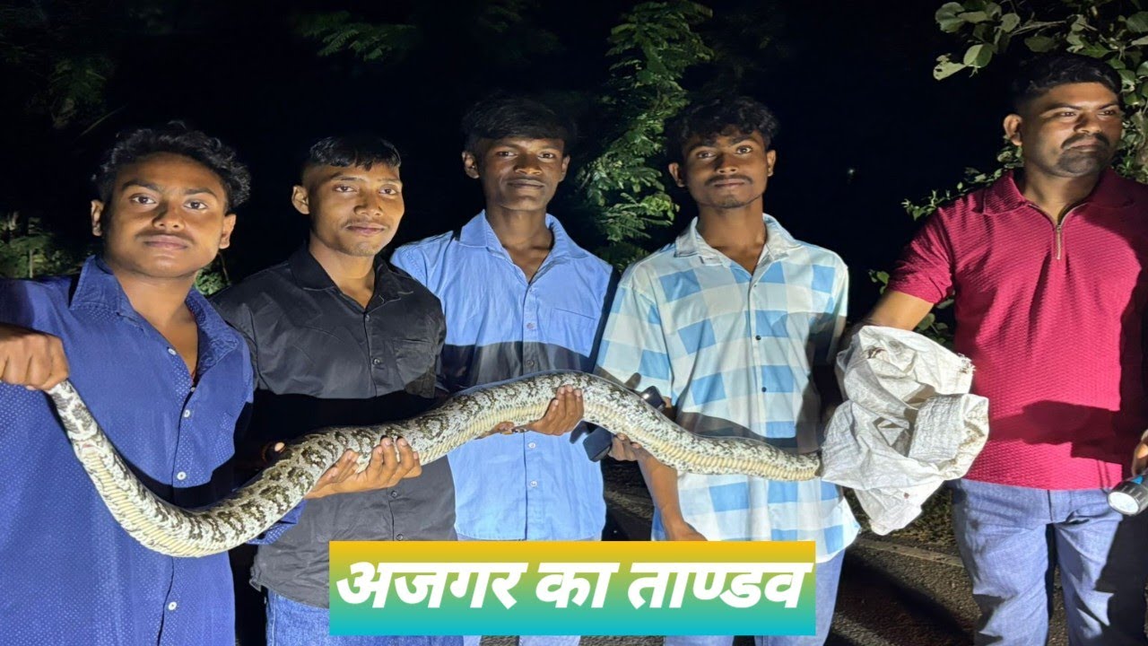 हमारा गांव का एक घर में बहुत बड़ा अजगर सांप मिला 😲😲😲@vikashmunda-c9o 