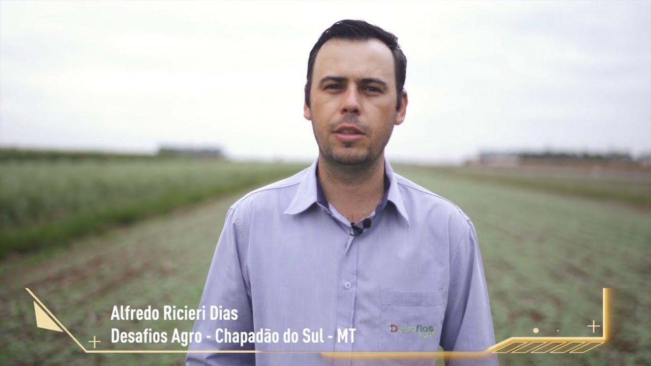 Evolution - Depoimento do engenheiro-agrônomo e pesquisador  Alfredo Ricieri Dias