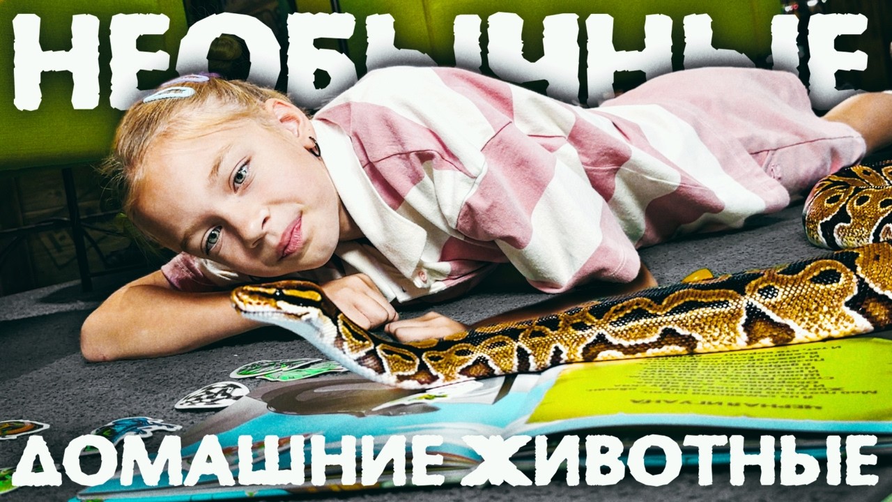 Альтернативы котикам и песикам. Каких животных еще можно содержать дома? Ящерицы, змеи, тараканы 🪱