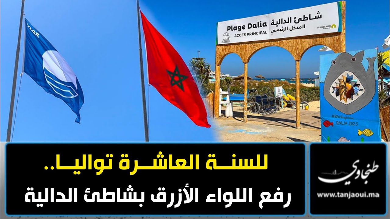 للسنة العاشرة تواليا.. رفع اللواء الأزرق بشاطئ الدالية 