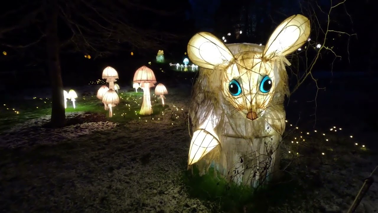 Glow Wild at Wakehurst, 2nd January 2025