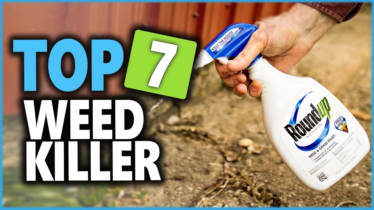 Top 7 Best Weed Killer That Won't Kill Grass