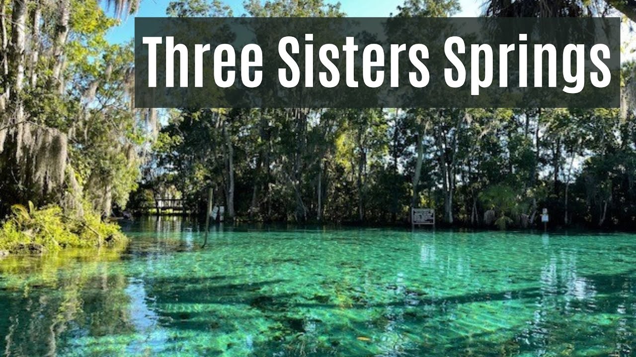 Three Sisters Springs, Crystal River, and Kings Bay