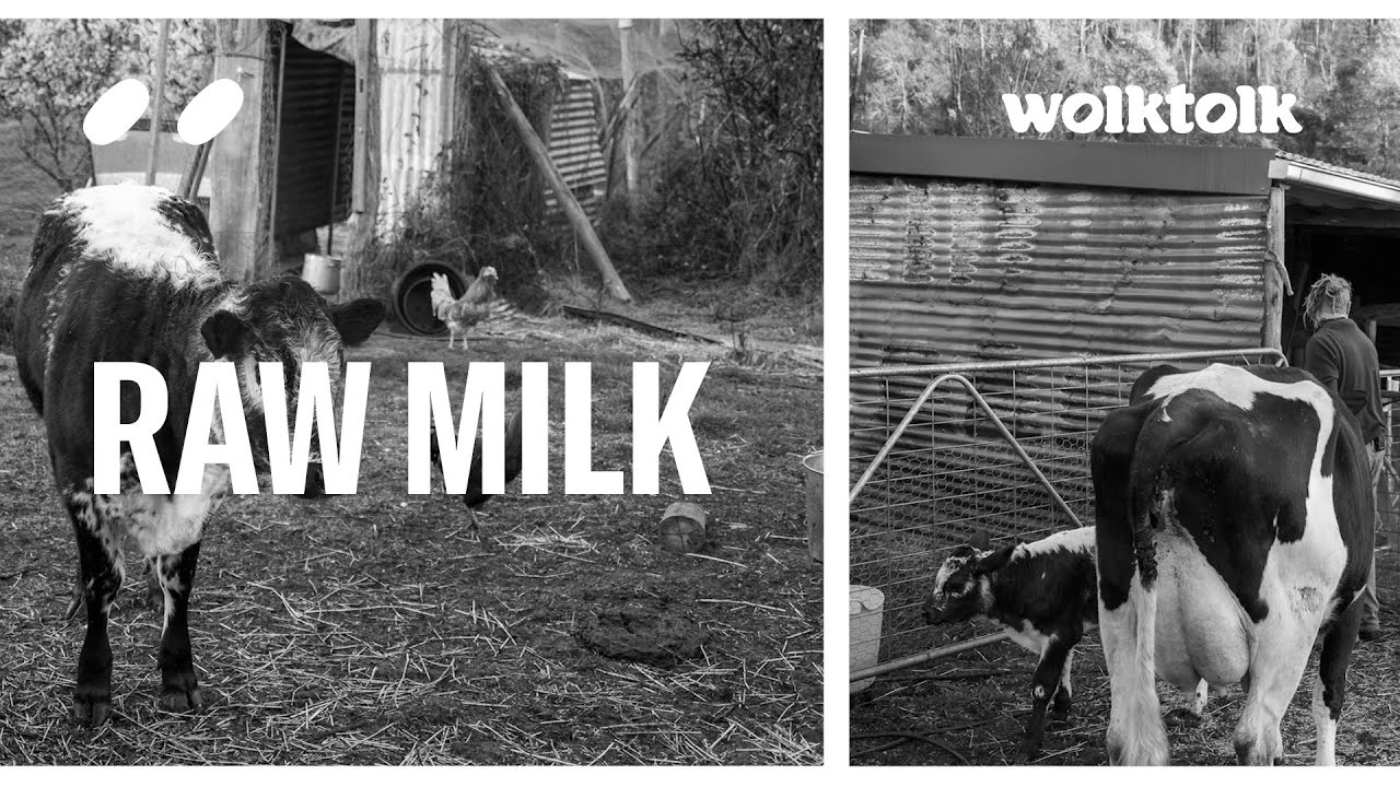 The Benefits of Raw Milk