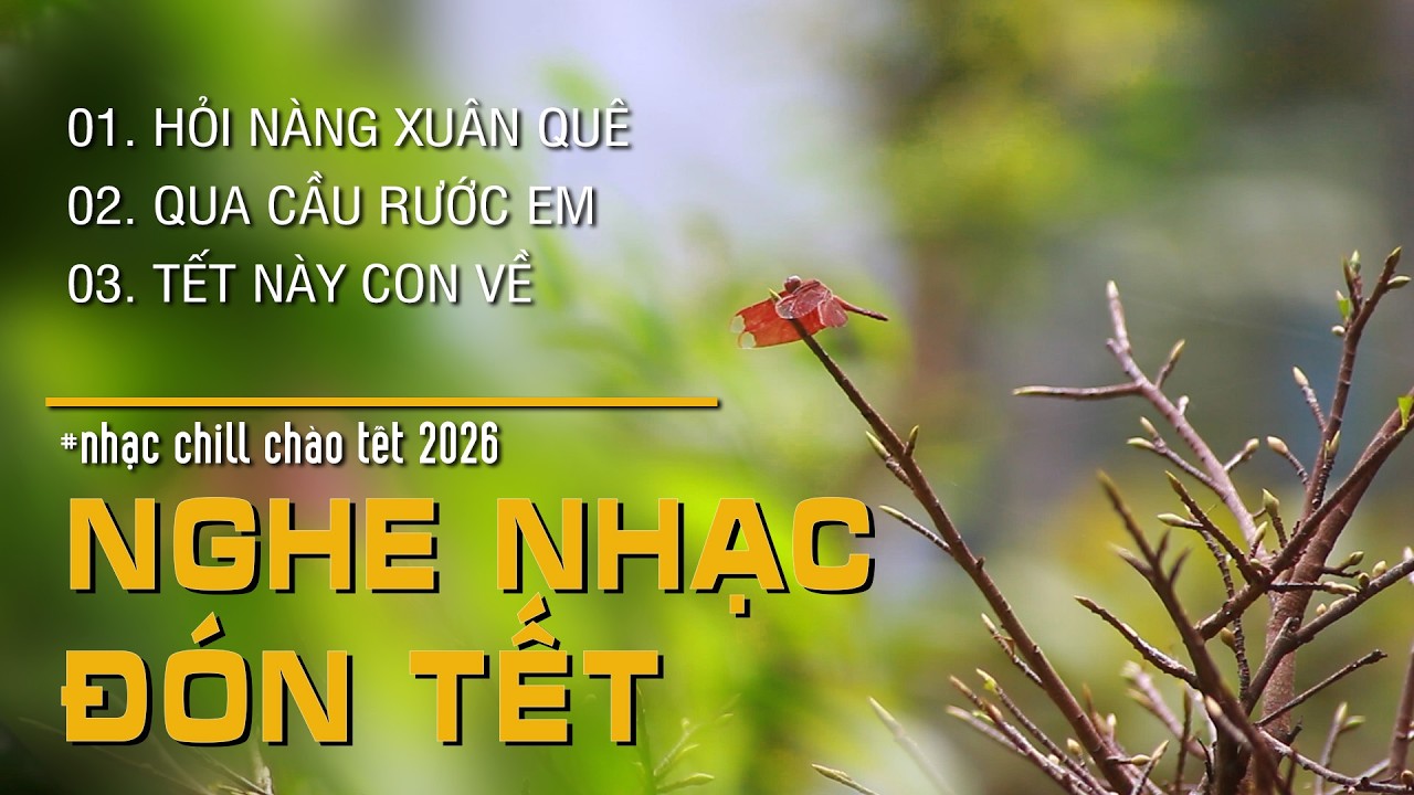 Nhạc Tết Chào Xuân 2026 🌸 Nhạc Tết Ballad Chill 2026 | Nhạc Chào Xuân Bính Ngọ Nghe Là Muốn Về Nhà