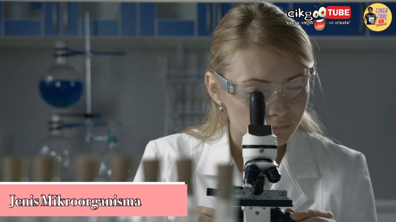 Sains Tahun 6: Jenis Mikroorganisma